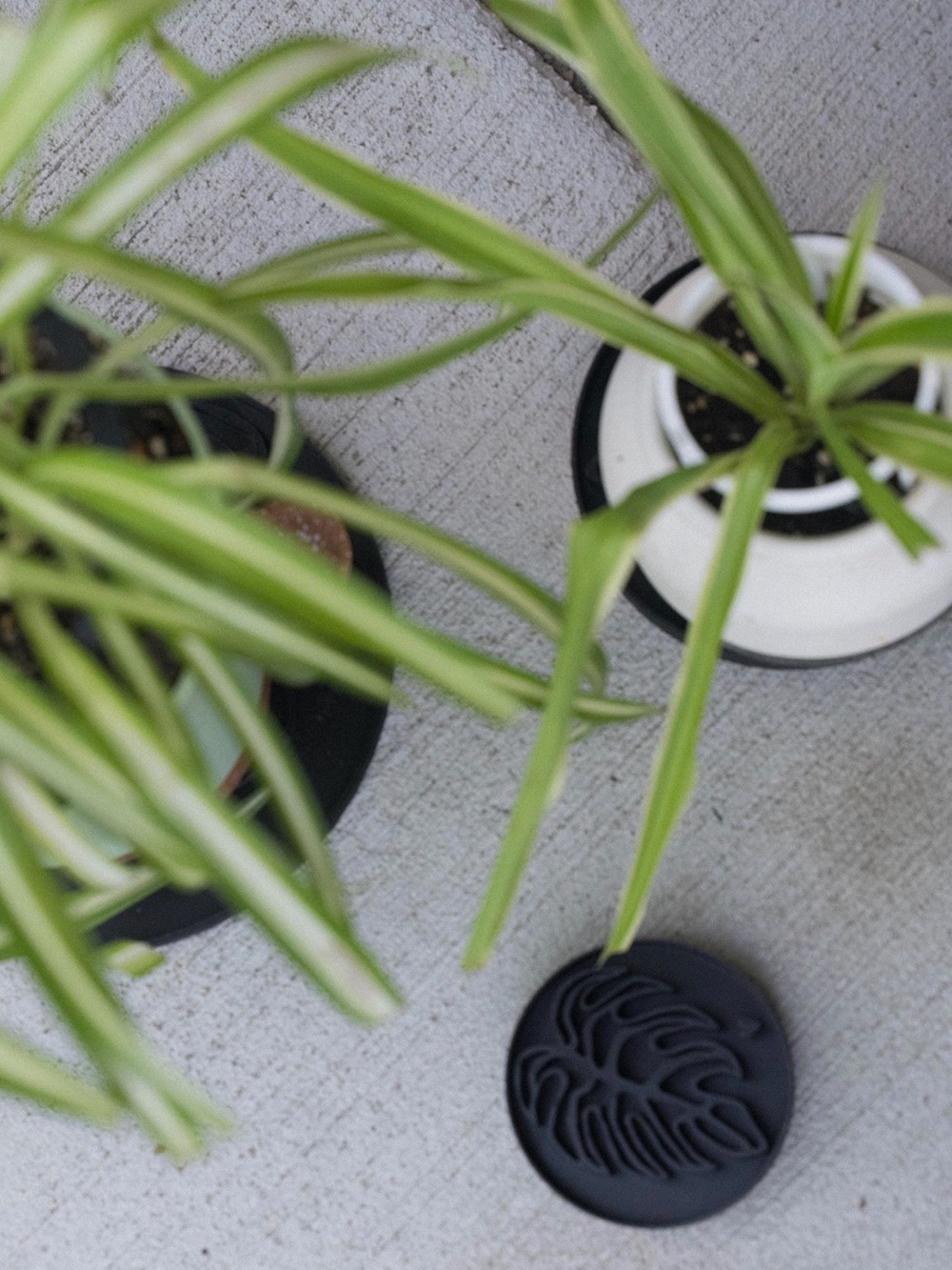 Monstera Leaf Plant Saucer Tray Plant Decor -Size S, 4”w - Picture 5 of 8
